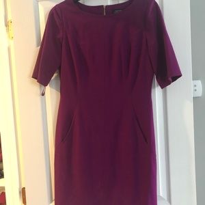Tahari dresses